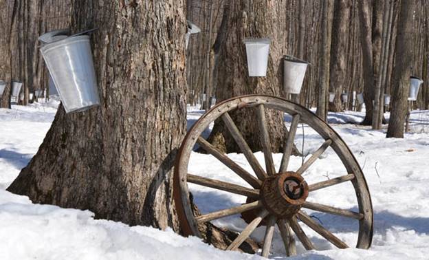 6 cabanes à sucre en Mauricie pour se sucrer le bec ce printemps | Tourisme  Mauricie